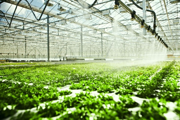 农药残留羞羞AV在线播放仪走进寿光市蔬菜基地