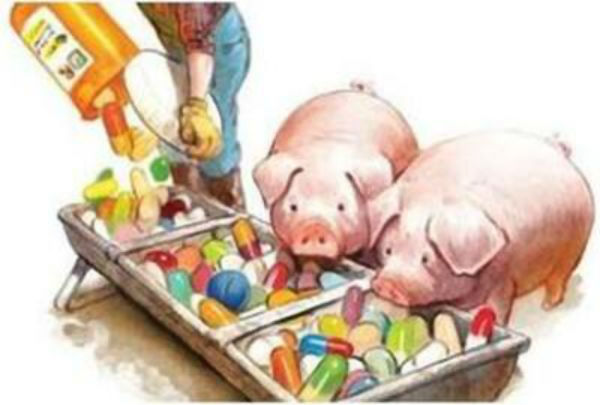 兽药残留的分类及兽药残留羞羞AV在线播放仪作用