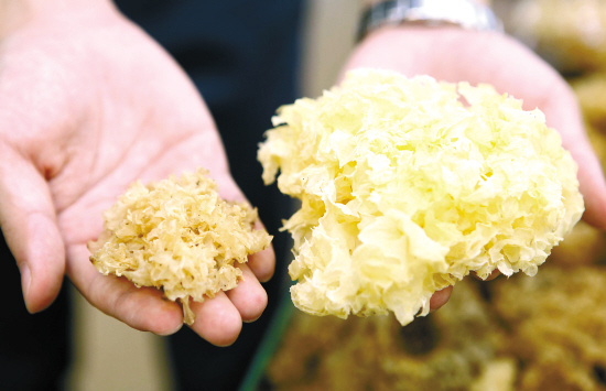 食品中的二氧化硫危害和羞羞AV在线播放